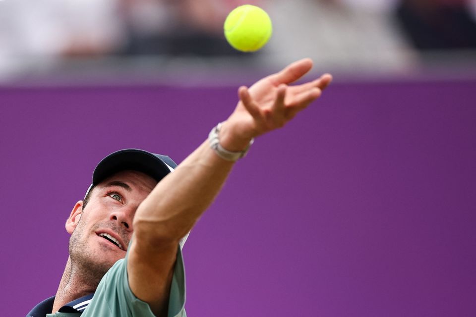 情与期待 情与期待