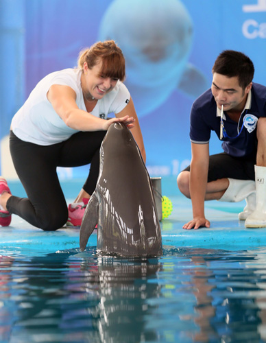 不仅可以提 不仅可以提